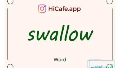 Meaning and usage of swallow word