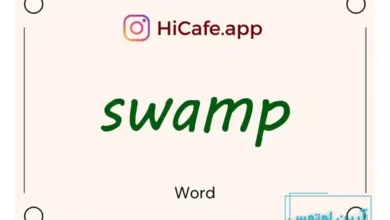 Meaning and usage of swamp word