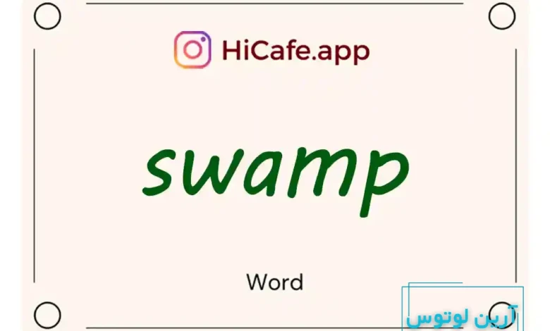 Meaning and usage of swamp word