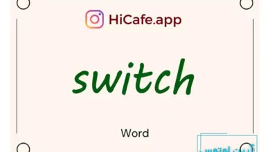 Meaning and usage of switch word