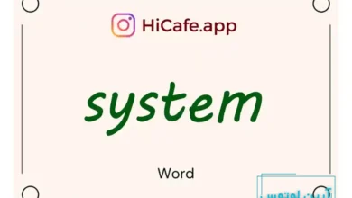 Meaning and usage of system word
