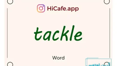 Meaning and usage of tackle word