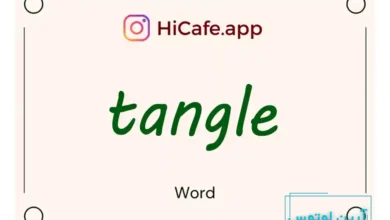 Meaning and usage of tangle word