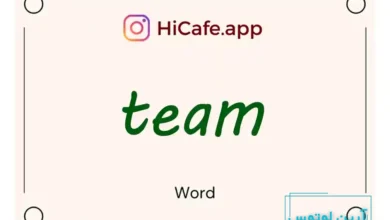 Meaning and usage of team word