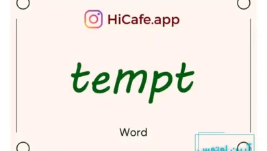 Meaning and usage of tempt word