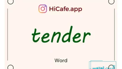 Meaning and usage of tender word