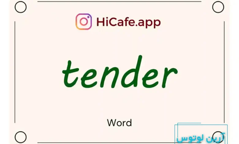 Meaning and usage of tender word