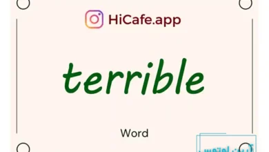 Meaning and usage of terrible word