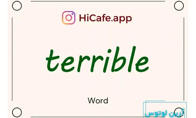 Meaning and usage of terrible word