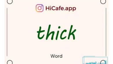 Meaning and usage of thick word