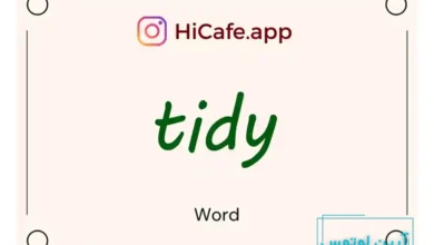 Meaning and usage of tidy word