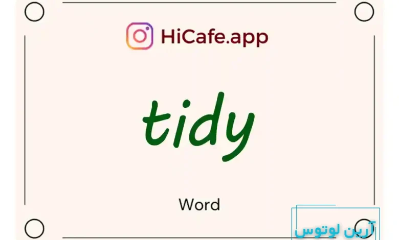 Meaning and usage of tidy word