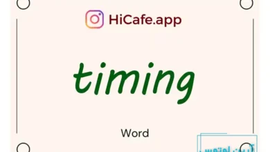 Meaning and usage of timing word