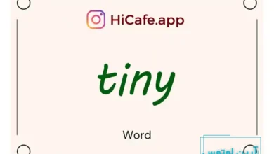 Meaning and usage of tiny word