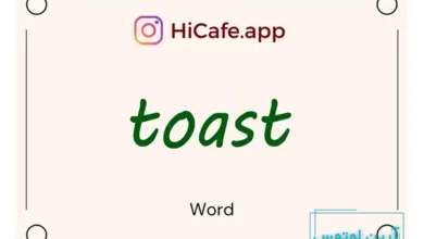 Meaning and usage of toast word