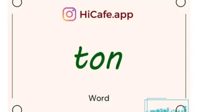 Meaning and usage of ton word