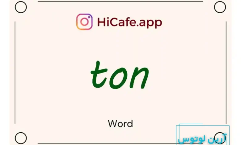 Meaning and usage of ton word