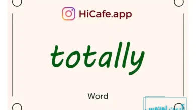 Meaning and usage of totally word
