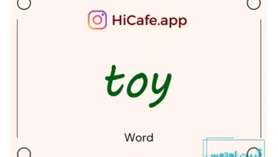 Meaning and usage of toy word