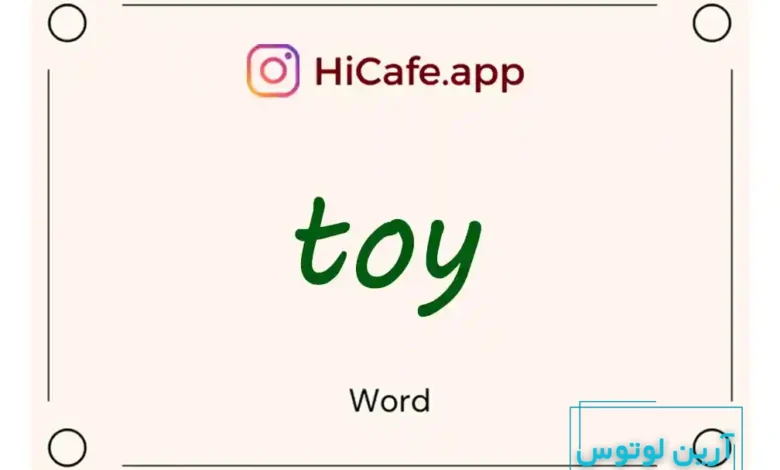 Meaning and usage of toy word