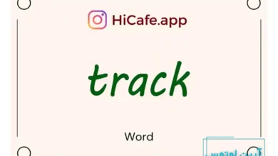 Meaning and usage of track word