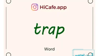 Meaning and usage of trap word