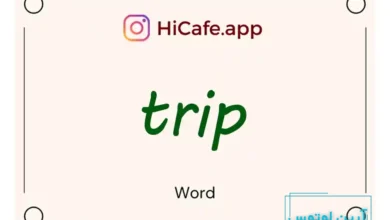 Meaning and usage of trip word