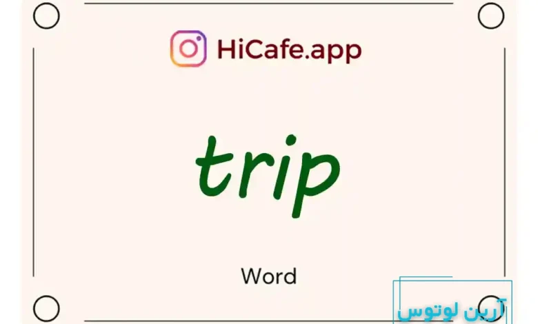 Meaning and usage of trip word