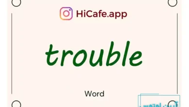 Meaning and usage of trouble word