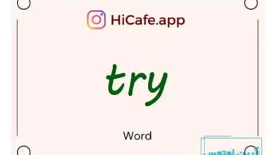 Meaning and usage of try word