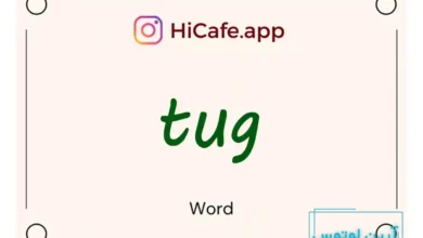 Meaning and usage of tug word