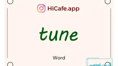 Meaning and usage of tune word