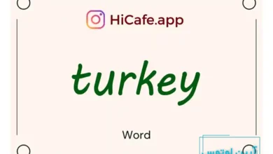 Meaning and usage of turkey word