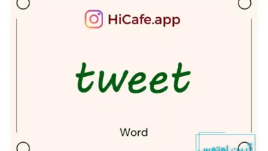 Meaning and usage of tweet word