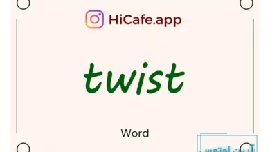 Meaning and usage of twist word