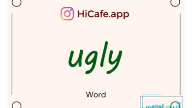 Meaning and usage of ugly word