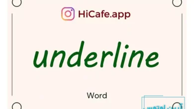 Meaning and usage of underline word