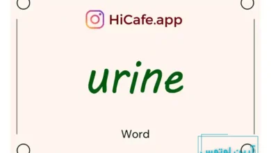 Meaning and usage of urine word