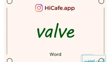 Meaning and usage of valve word