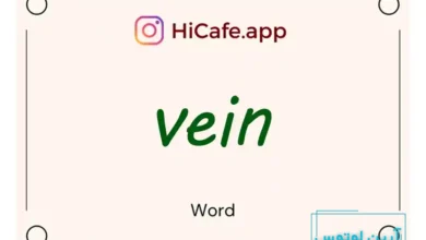 Meaning and usage of vein word