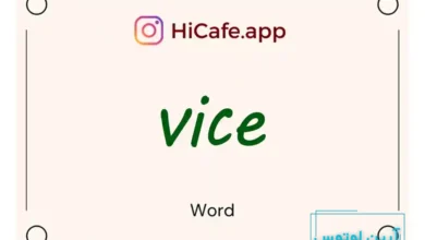 Meaning and usage of vice word