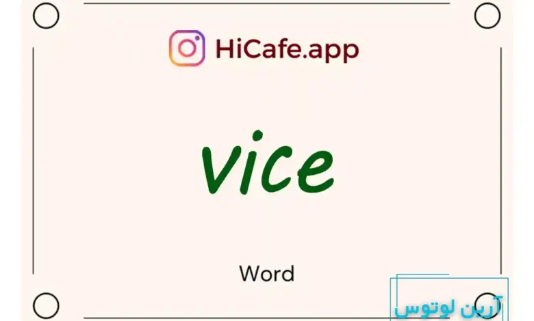 Meaning and usage of vice word