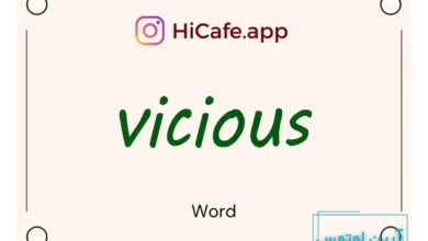 Meaning and usage of vicious word