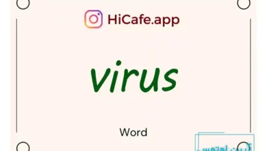 Meaning and usage of virus word