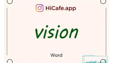 Meaning and usage of vision word