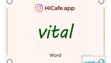 Meaning and usage of vital word