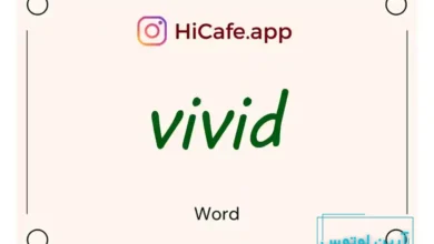 Meaning and usage of vivid word