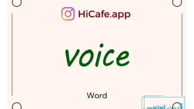 Meaning and usage of voice word