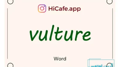 Meaning and usage of vulture word