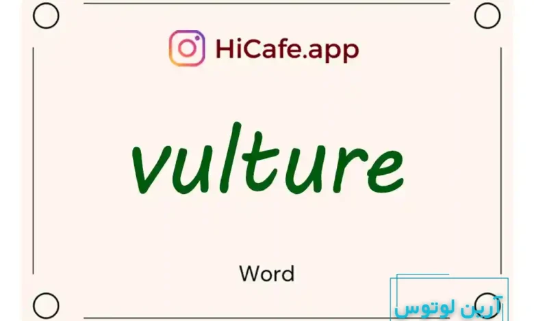 Meaning and usage of vulture word
